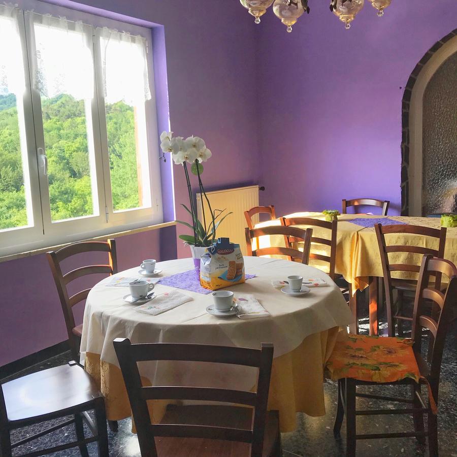 Albergo Delfino San Pietro d'Olba Kültér fotó