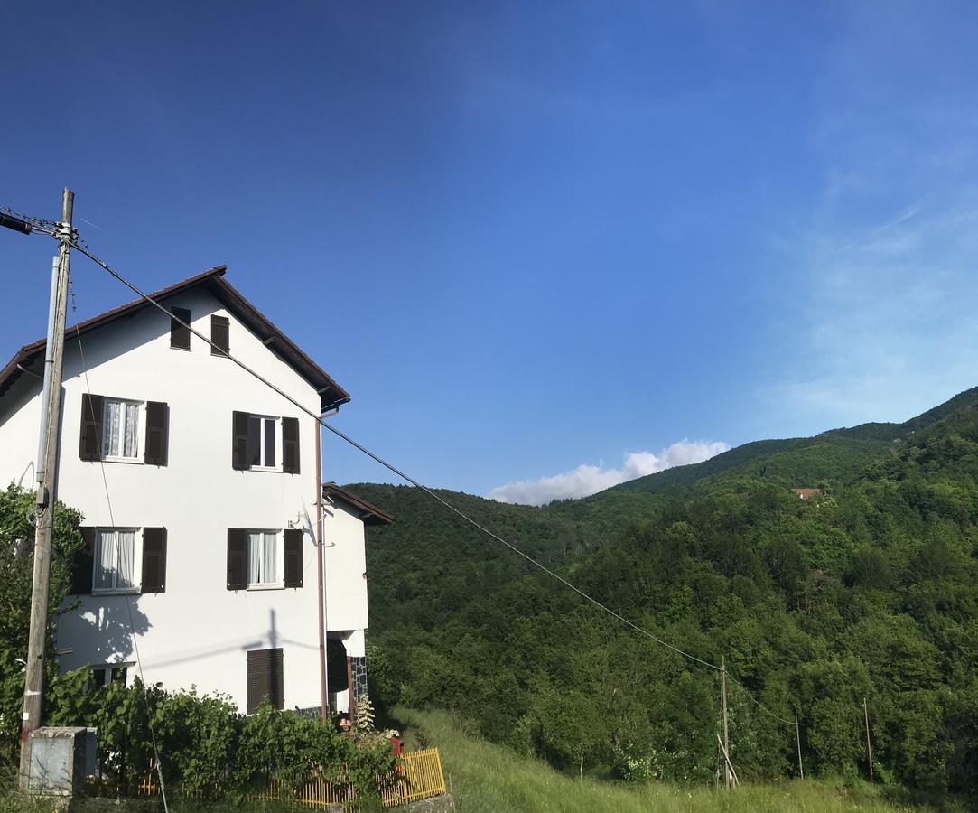 Albergo Delfino San Pietro d'Olba Kültér fotó